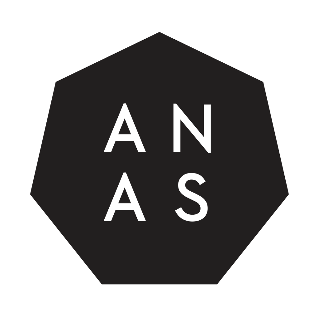 Logo image for ANAS